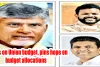 AP eyes on Union budget, pins hope on budget allocations