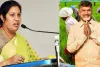 Chandrababu government is working to support the farmers: Purandeswari