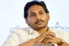 Jagan Mohan Reddy files plea in HC over provision of security cover