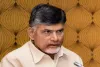 Andhra CM Naidu calls for collective efforts to nurture potential of girls