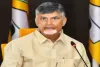 No YSRCP activist will be spared if women are targeted: CM Chandrababu