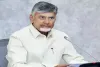 Welfare, development, good governance, key pillars of NDA in AP: CM Naidu