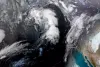 Northern California and Pacific Northwest brace for atmospheric river