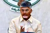 CM Chandrababu Naidu expressed his sorrow over the death of Mirza Mohammed Ali