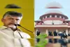 SC defers AP's plea against bail to CM Chandrababu Naidu in skill development case