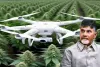 Combat cannabis cultivation using drones: CM 