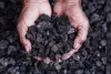 India's coal import rises 8% to 140.60 MT in Apr-Sept