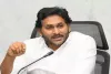 My name not mentioned anywhere, says Ex-Andhra CM Jagan on Adani bribe controversy