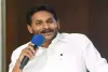 Jagan supported damaging campaign against his mother, sister: Andhra CM