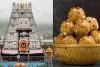 SIT begins probe into Tirupati laddu adulteration allegations