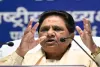 Sambhal mosque controversy: Govt and SC must take cognizance, says Mayawati