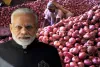 Cong asks PM Modi why Gujarat's white onion farmers given preferential treatment