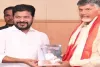 TDP committed to development and welfare, says Revanth Reddy