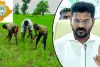 Telangana govt’s Rs 500 bonus on fine paddy pushes cultivation up by 61 per cent 