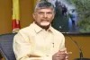 CM Chandrababu Purchases Five Acres in Velagapudi!