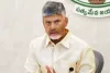 We will comprehensively resolve land disputes through revenue meetings: Andhra CM