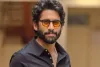 Interesting Title In Consideration For Naga Chaitanya, But