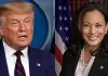 Trump ally spreads racist stink, says White House will &#8216;smell like curry&#8217; if Harris wins