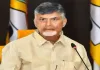 No YSRCP activist will be spared if women are targeted: CM Chandrababu