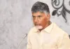 Fertility rate in southern states decreasing, need to talk about population management: Andhra CM Naidu