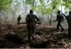 Four held in Telangana for trying to revive naxal outfit in Andhra Pradesh, arms seized