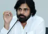 Deputy CM Pawan Kalyan made some significant comments,