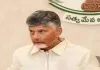 Job creation should be key measure for district collectors: Andhra CM Naidu