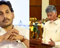 Irreparable damage to the AP brand by Jagan : CM Chadrababu 