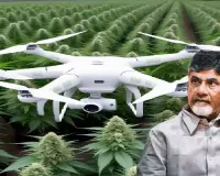 Combat cannabis cultivation using drones: CM 