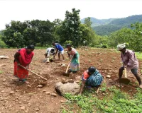 *Andhra Pradesh Forest Department's Special Plan for Sustainable Economic Growth for Tribal Communities*