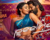 'Pushpa-2': Promo for Fourth Song 'Peelings' Out Now