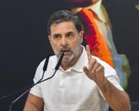 Congress, UDF should pressure Kerala govt to help Wayanad landslides victims: Rahul