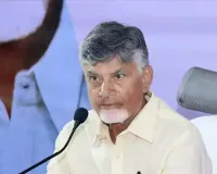 Restore Andhra Pradesh''s ties with Singapore: CM tells officials