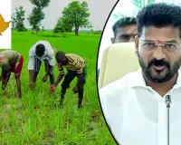 Telangana govt’s Rs 500 bonus on fine paddy pushes cultivation up by 61 per cent 