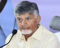 JD Vance's victory historic, a Telugu woman will serve as US Second Lady for first time: Andhra CM