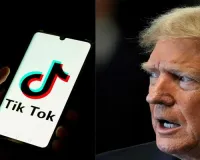 Trump asks Supreme Court to delay TikTok ban so he can weigh in after he takes office