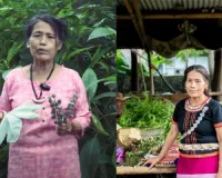 Solution to every disease lies in jungle, says Arunachal herbal medicine expert Yanung Jamoh Lego