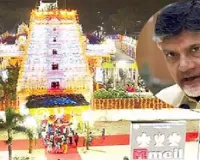 Dokiparru Awaits CM Chandrababu’s Visit for Temple Rituals