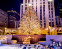 Rockefeller Centre Christmas tree lights up in New York City