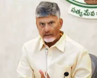 We will comprehensively resolve land disputes through revenue meetings: Andhra CM