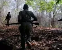 Seven Naxalites killed in encounter in Chhattisgarh's Narayanpur 