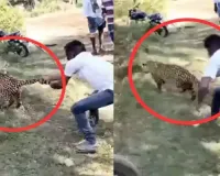 Viral: Man Shows Incredible Bravery, Holds Leopard’s Tail to Stop Its Escape