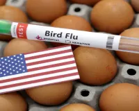 Louisiana person is the first US bird flu death, health officials say