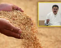  Sankranthi cheer to farmers with swift grain payments Rs 6083 cr in 24 hours 