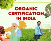 Govt notifies procedure for export of certified organic products