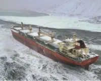 Chinese cargo ship runs aground on Russia's Pacific region of Sakhalin but no spill reported