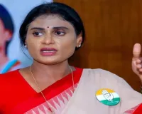 Andhra should conduct caste survey similar to Telangana: Y S Sharmila 