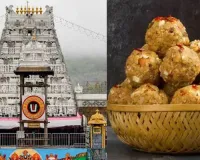 Tirupati laddu case: AR Dairy inflated capacity to meet TTD's tender requirement, says SIT