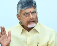 Will implement 'Talliki Vandanam' scheme in May, says Andhra CM Naidu