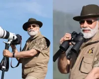 World Wildlife Day: PM Modi goes on lion safari in Gujarat